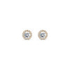 Bella Earrings